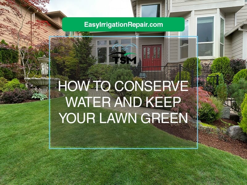 How to conserve water and keep your lawn green